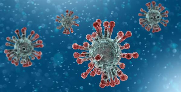 CoronaVirus